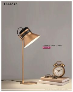 643880798 1241688718109750 2207723150503879334 n